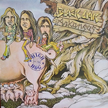 High on the Hog